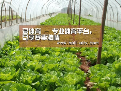 种植基地五