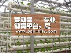 环境展示六
