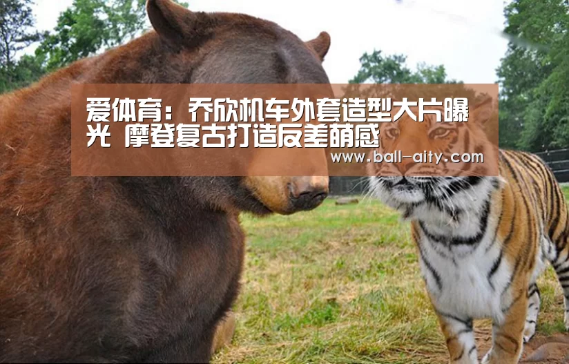 爱体育:乔欣机车外套造型大片曝光 摩登复古打造反差萌感(图3) 爱体育